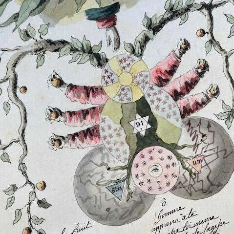 vosges-haut-chocolat-blog/botanical-alchemy-the-art-of-spagyrics