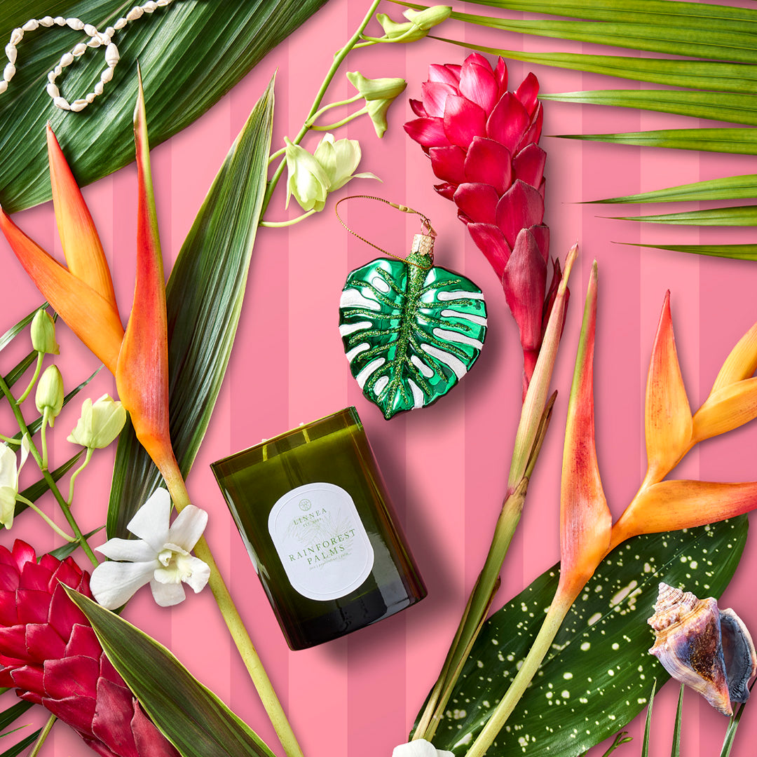 Rainforest Candle & Ornament